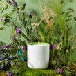 Load image into Gallery viewer, La Trouverie Scented Candle