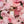 Load image into Gallery viewer, À La Rose Eau de Parfum
