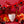 Load image into Gallery viewer, Rue des Groseilliers Candle
