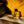 Load image into Gallery viewer, Lumière Dorée
